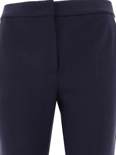 Max Mara Stretched Pleat Trousers In Blue