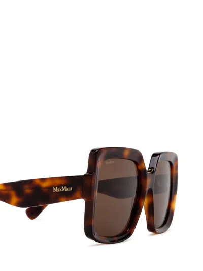 Shop Max Mara Sunglasses In Dark Havana