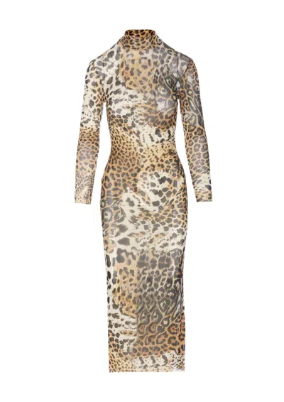 Shop Roberto Cavalli Dresses In Beige