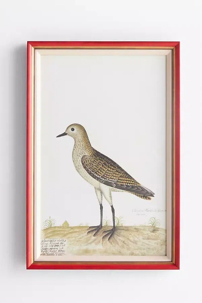 Soicher Marin Rudbeck Swedish Birds Wall Art
