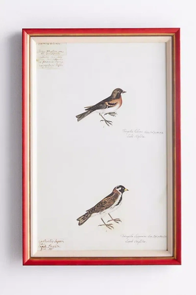 Soicher Marin Rudbeck Swedish Birds Wall Art