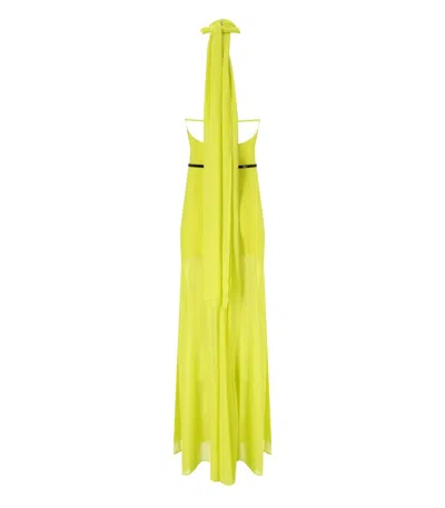 Elisabetta Franchi Red Carpet Cedar Dress In Yellow