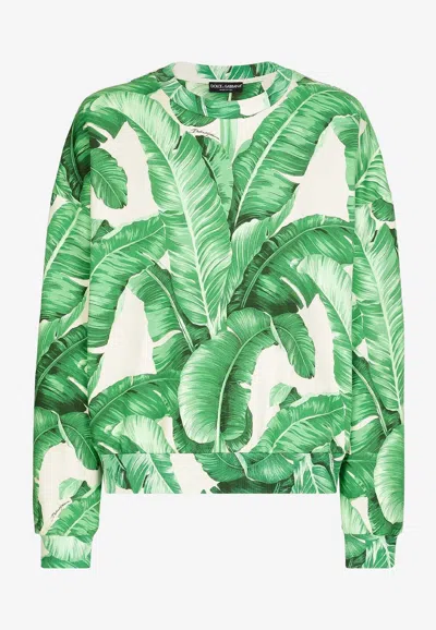 Dolce & Gabbana Round-neck Sweatshirt With Banana Tree Print In Green
