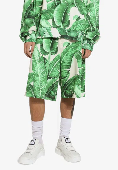 Dolce & Gabbana Banana Leaf-print Bermuda Shorts In Green