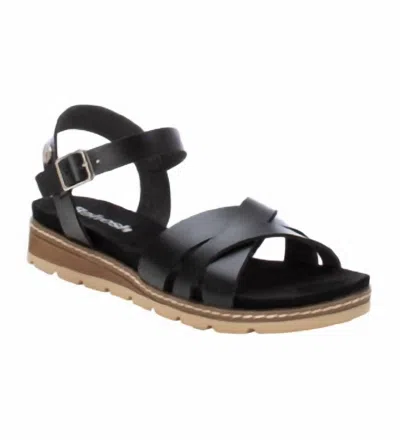 Xti Women's Sandals In Black In Black