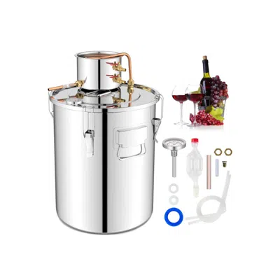 Costway Water Juicer Maker With 2 Stainless Steel Pots