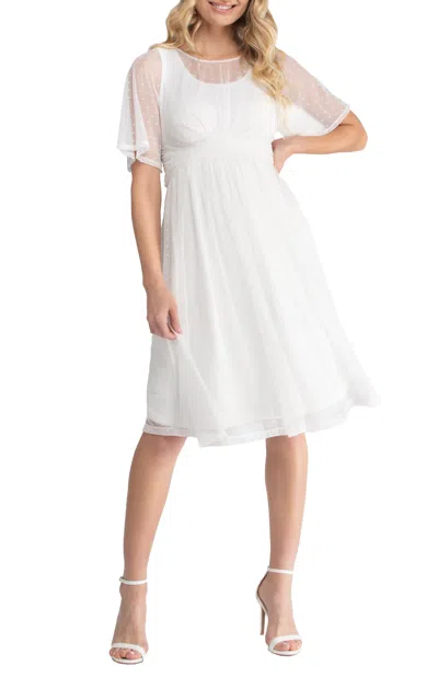 Kiyonna Stars Sheer Overlay Dress In Multi