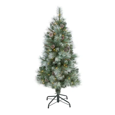 Homplanti 4' Brit Columbia Pine Xmas Tree W/100 Lights,cones, 228 Tips