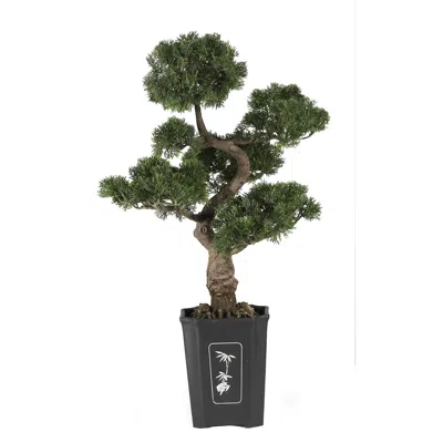 Homplanti 36" Bonsai Cedar Tree