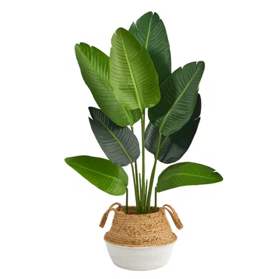 Homplanti 4' Travelers Palm Tree In Cotton & Jute White Planter