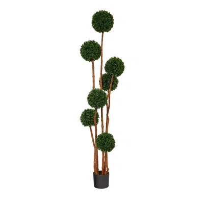 Homplanti 6' Boxwood Tree W/natural Trunk Uv (indoor/outdoor)