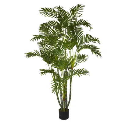 Homplanti 5' Biggy Style Areca Tree W/840 Lvs
