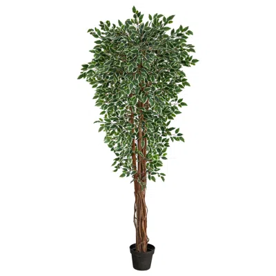 Homplanti 70" Variegated Ficus Tree Uv Resistant (indoor/outdoor)