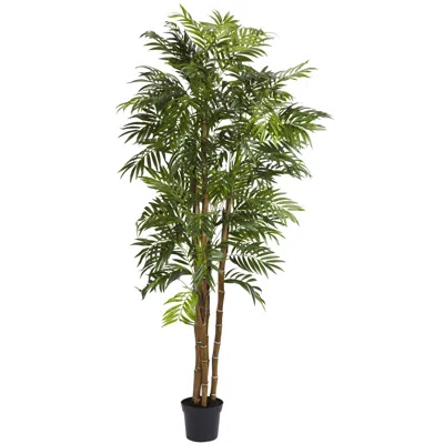 Homplanti 6' Bella Palm Tree W/1496 Lvs