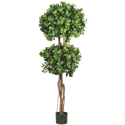 Homplanti 5.5' Eucalyptus Double Ball Topiary Tree W/1989 Lvs