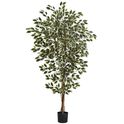Homplanti 6' Hawaiian Ficus Tree X 3 W/1008 Lvs