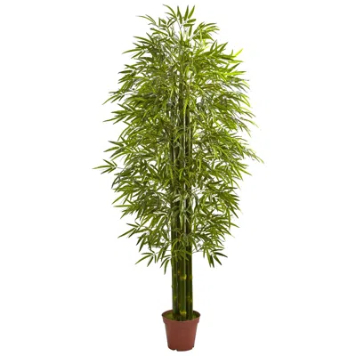 Homplanti 7' Bamboo Tree W/2400 Lvs Uv Resistant (indoor/outdoor)