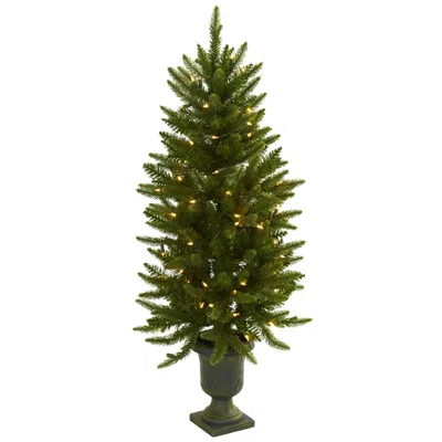 Homplanti 4' Christmas Tree W/urn 100 Clear Lights & 242 Tips
