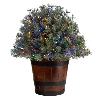 Homplanti 26" Flocked Christmas Shrub W/150 Multicolored Led Lights