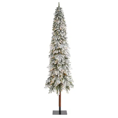 Homplanti 9' Flocked Grand Alpine Xmas Tree W/600 Lights & 1183 Tips