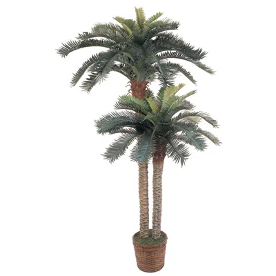 Homplanti 6' And 4' Double Potted Sago Palm Silk Tree