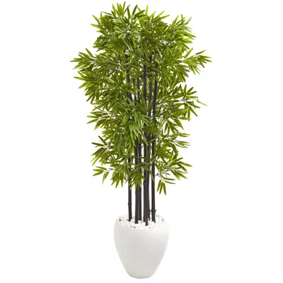 Homplanti 5' Bamboo Tree In White Planter Uv Resist (indoor/outdoor)