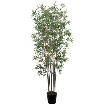 Homplanti 6' Mini Bamboo Tree X 10 W/2520 Lvs