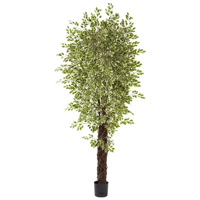 Homplanti 84" Mini Ficus Multi Creepers Trunk X 4 W/4131 Lvs