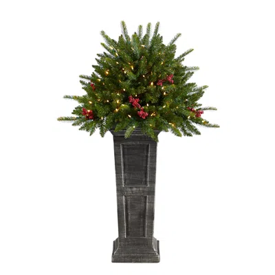 Homplanti 4' Xmas Plant Glittered On Pedestal W/150 Multicolored Leds