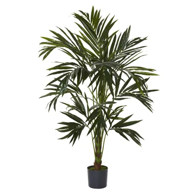 Homplanti 6' Kentia Tree