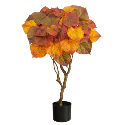 Homplanti 3' Autumn Umbrella Ficus Fall Tree