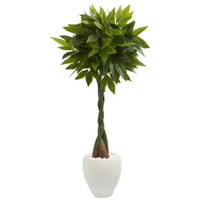 Homplanti 4.5' Money Artificial Tree In White Oval Planter (real Touch)