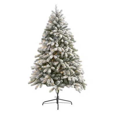 Homplanti 6' Flckd South Carolina Xmas Tree W/450 Lights & 925 Tips