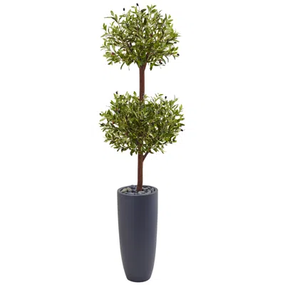 Homplanti 6' Olive Double Tree In Gray Cylinder Planter