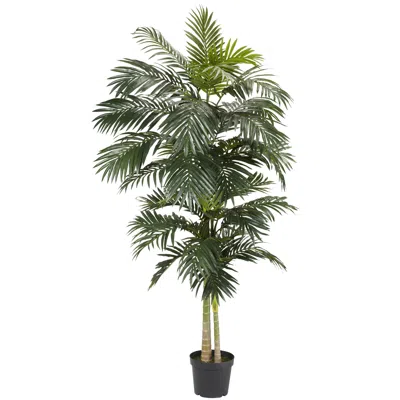 Homplanti 8' Golden Cane Palm Tree