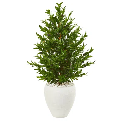 Homplanti 3.5'olive Cone Artificial Tree In Planter Uv(indoor/outdoor)