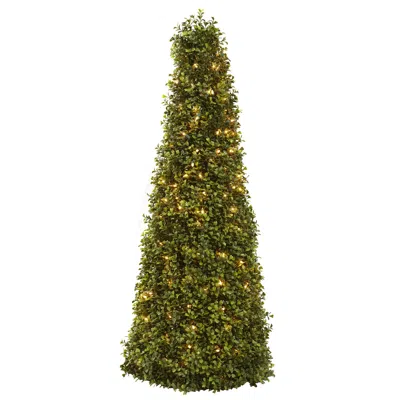Homplanti 39" Boxwood Cone W/lights