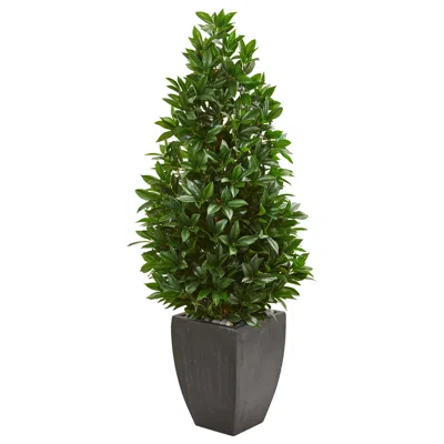 Homplanti 56" Bay Leaf Cone Topiary Uv In Planter (indoor/outdoor)