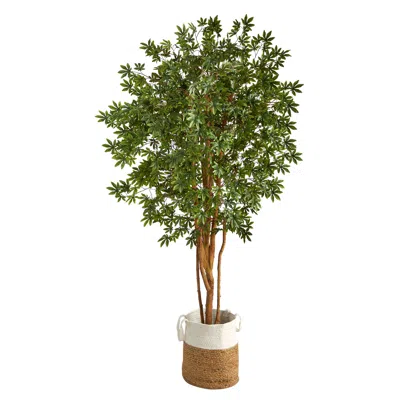 Homplanti 6' Japanese Maple Tree In Handmade Natural Jute Planter