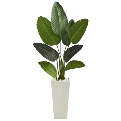 Homplanti 5' Travelers Palm Artificial Tree In Tall White Planter