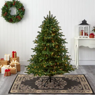 Homplanti 5' South Carolina Spruce Xmas Tree W/300 Lights And 1370 Tps
