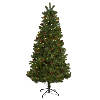 Homplanti 6' Rocky Mountain Christmas Tree W/pinecones 250 Led 544 Tip