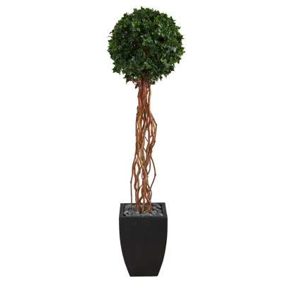 Homplanti 64" English Ivy Topiary Tree In Planter Uv (indoor/outdoor)