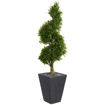 Homplanti 5' Boxwood Topiary Tree Planter Uv Res (indoor/outdoor)