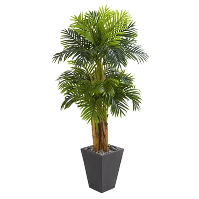 Homplanti 5.5' Triple Areca Palm Tree In Slate Finish Planter