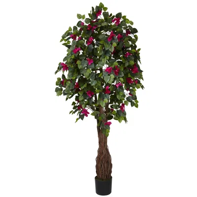 Homplanti 6' Multi Vine Bougainvillea Tree W/990 Lvs