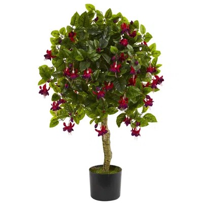 Homplanti 3' Fuchsia Tree