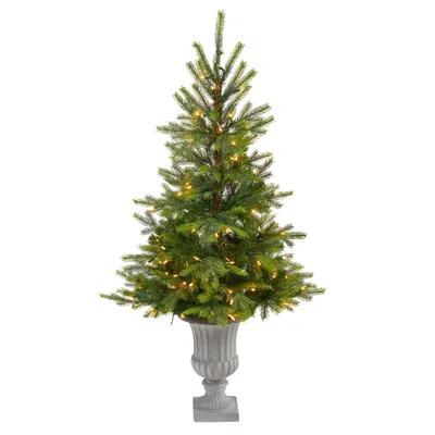 Homplanti 56" North Carolina Spruce Xmas Tree W/100 Leds In Urn