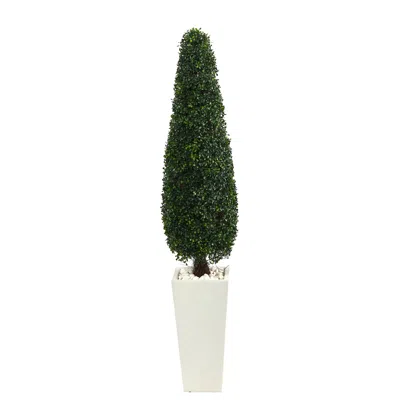 Homplanti 63" Boxwood Topiary Tree In Tall Planter Uv (indoor/outdoor)