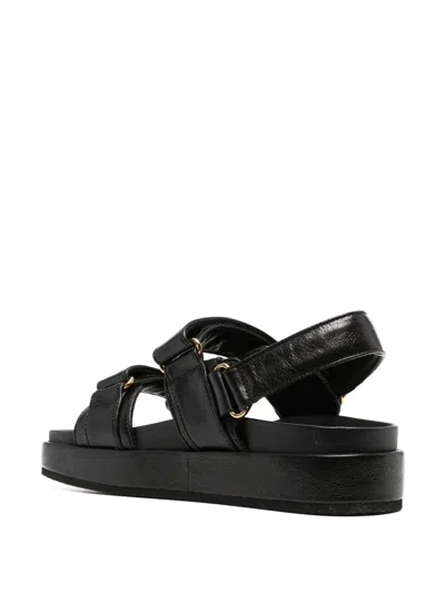 Shop Tory Burch Sandals In Black